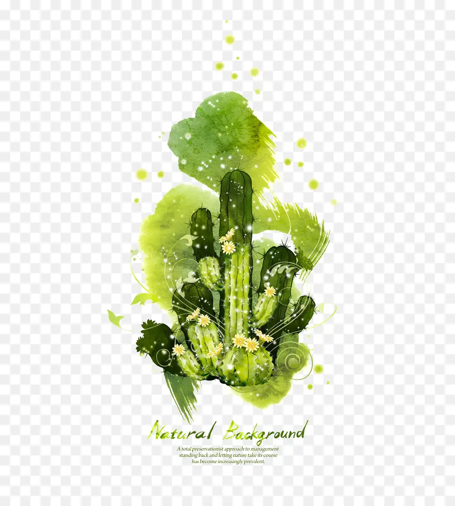 Cactaceae，Cdr PNG