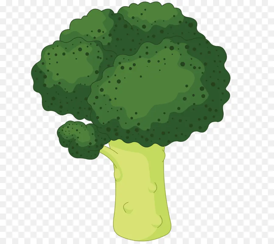 Brócoli，Royaltyfree PNG