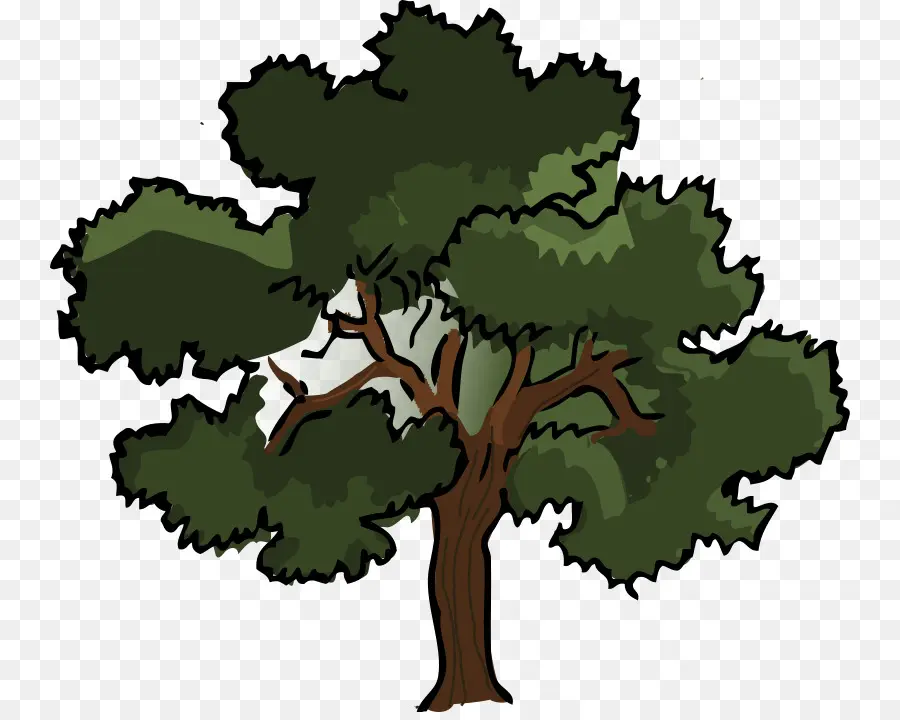 Roble，árbol PNG