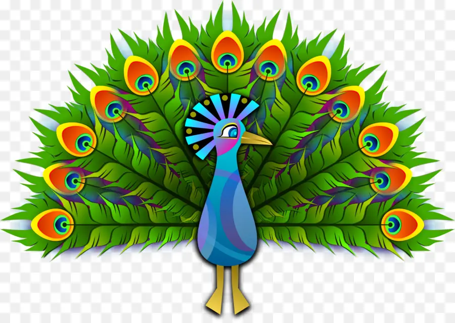 Pavo Real，Libre De Contenido PNG