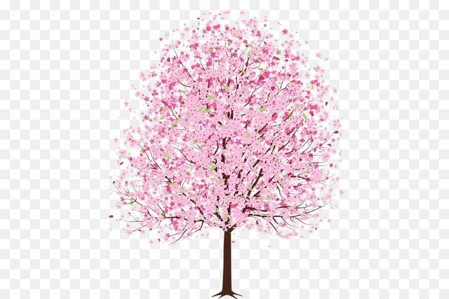 Árbol De Cerezo En Flor，Rosa PNG