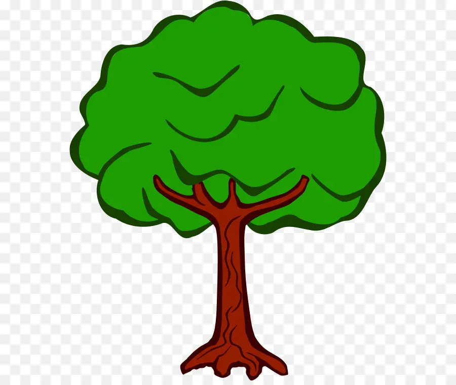 Árbol，Planta PNG