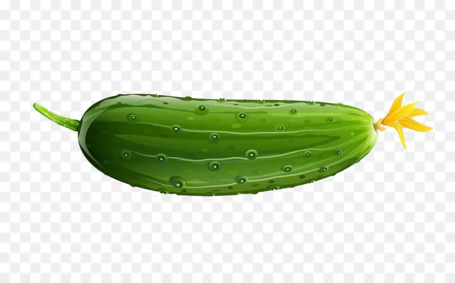 Pepino，Verde PNG