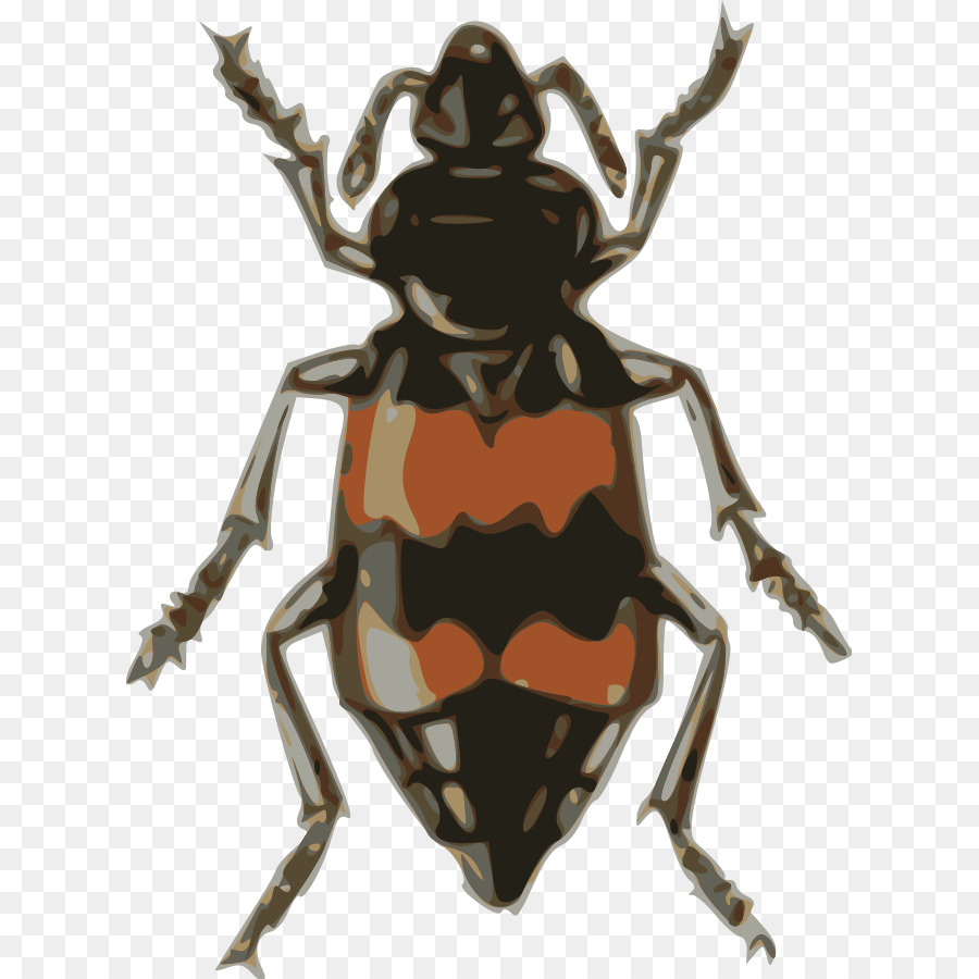 Escarabajo，Volkswagen Escarabajo PNG