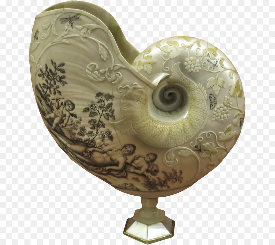 Concha Decorativa，Nautilo PNG