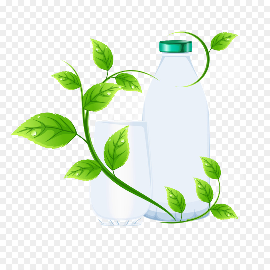 Té，Té Verde PNG