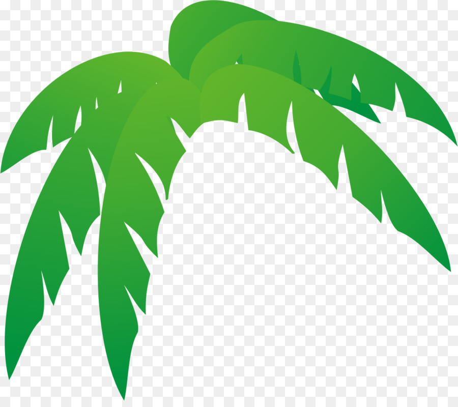 Arecaceae，Hoja PNG