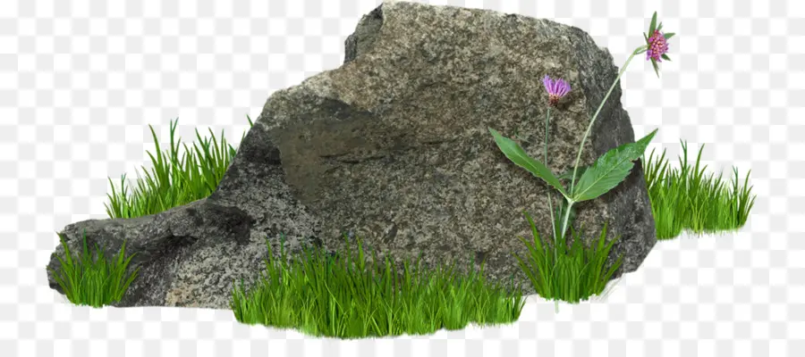 Rock，Piedra PNG