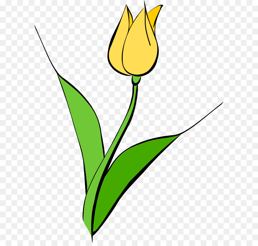 Tulipa Gesneriana，Amarillo PNG