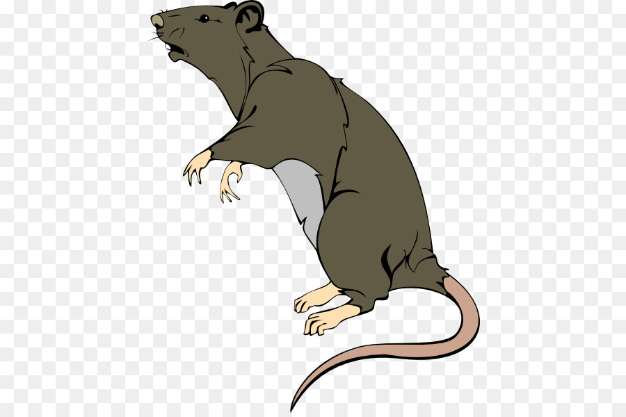 Ratón Gris，Roedor PNG