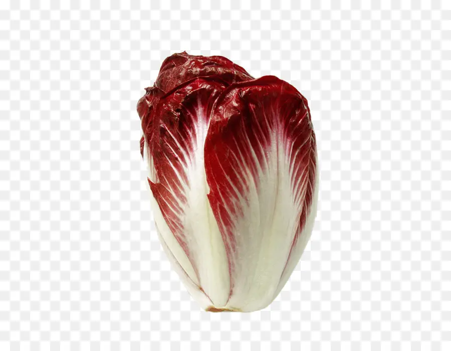 Vegetal，Repollo Chino PNG