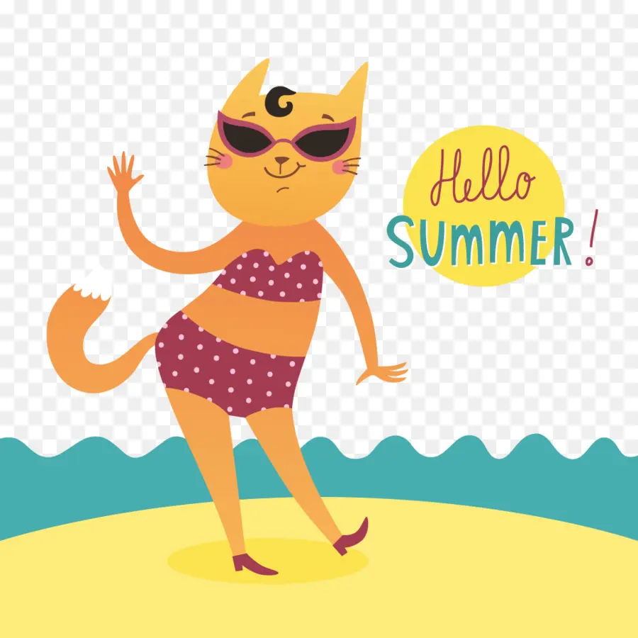 Gato En Verano，Gato PNG