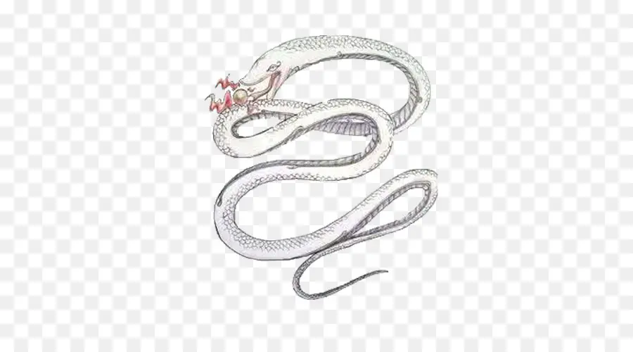 Serpiente Blanca，Serpiente PNG