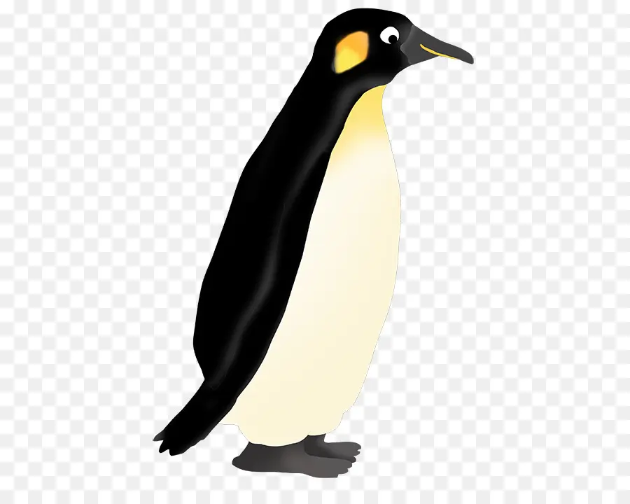 Penguin，Libre De Contenido PNG