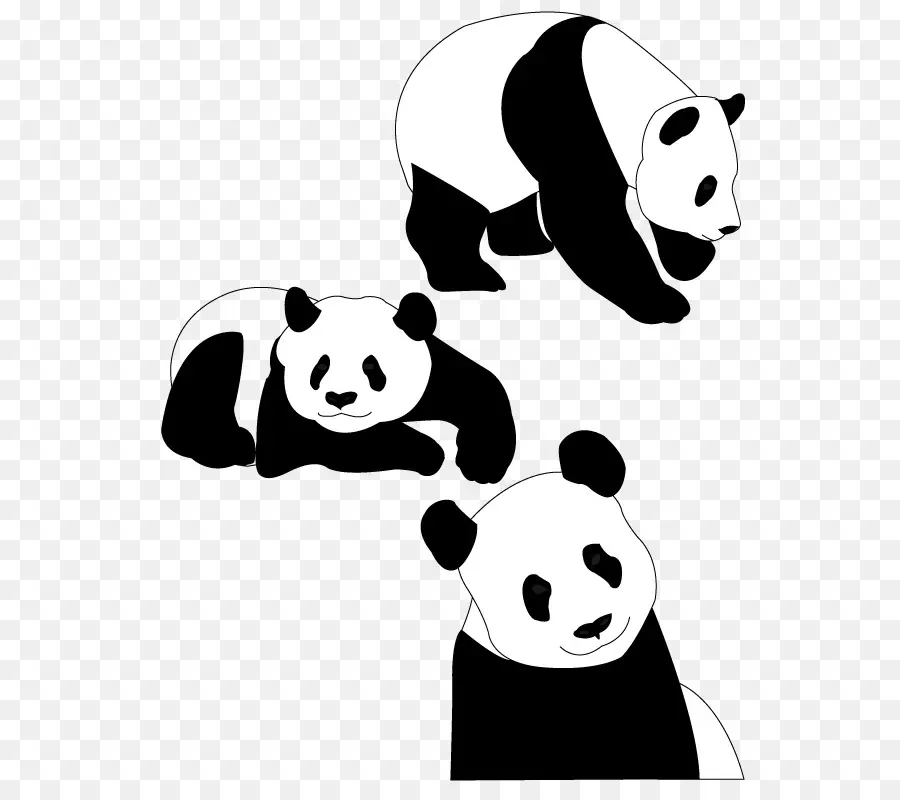 Pandas，Negro PNG