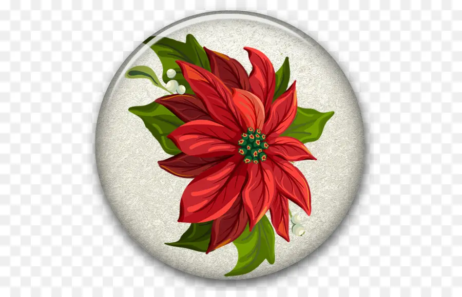 La Flor De Pascua，La Navidad PNG