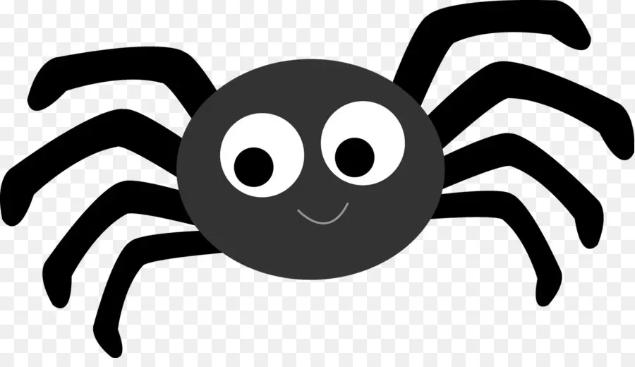 Araña，Libre De Contenido PNG