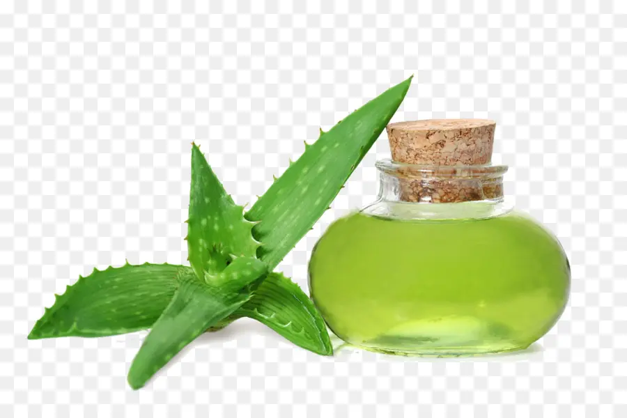 Aloe Vera，Gel PNG