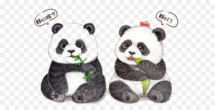 El Panda Gigante，De Dibujos Animados PNG