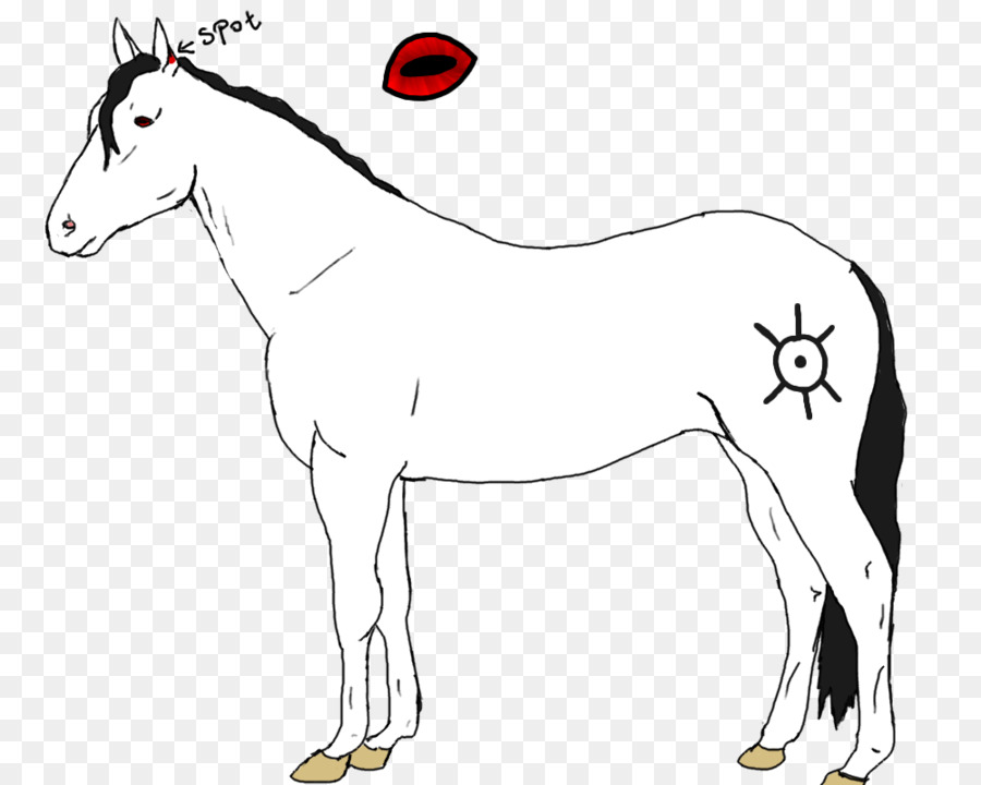 Mula，Caballo PNG