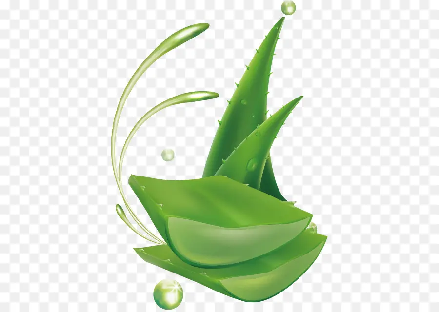 Aloe Vera，Loción PNG