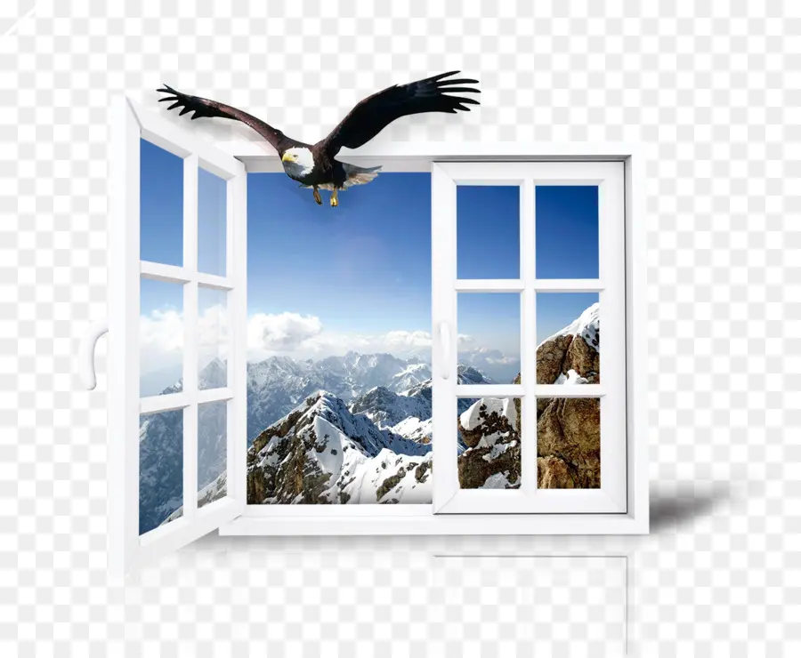 Águila Volando Por La Ventana，águila PNG