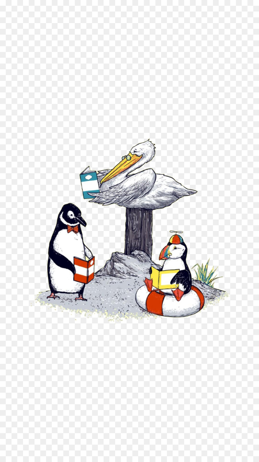 Penguin，Pájaro PNG