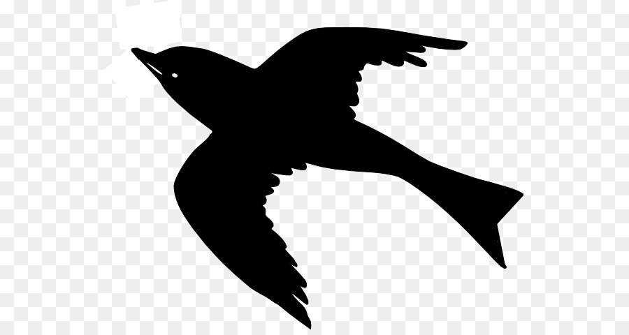 Pájaro Negro，Vuelo PNG