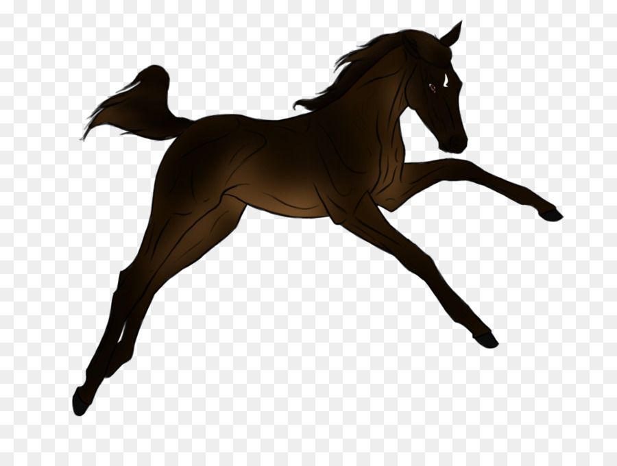 Caballo Negro，Caballo PNG