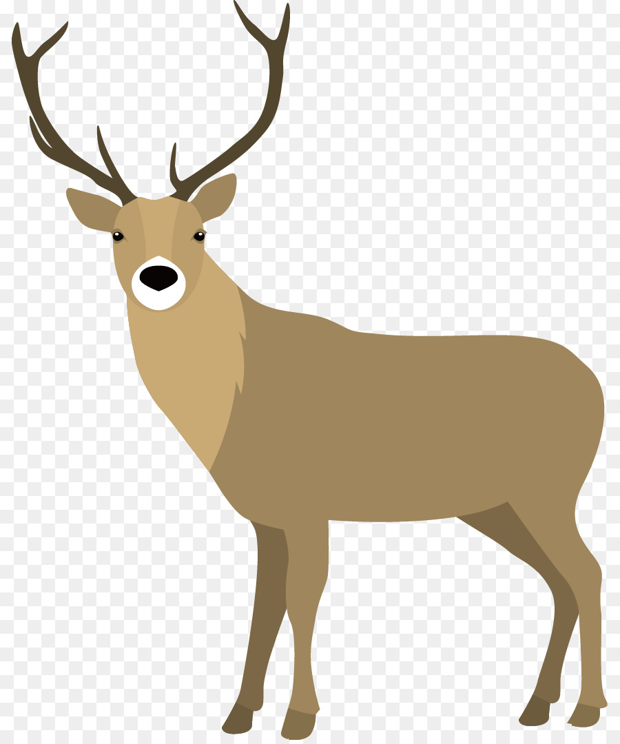 Elk，Cabra PNG