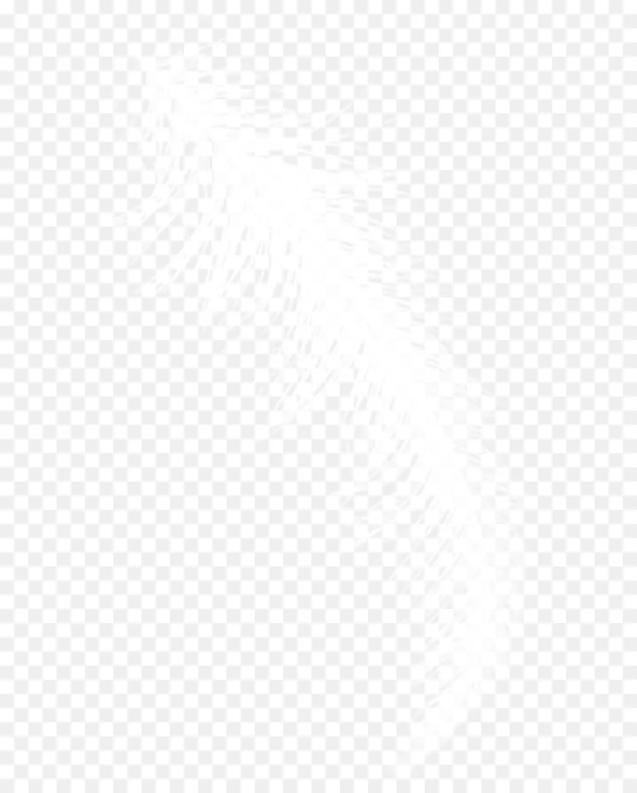 Blanco，Negro PNG