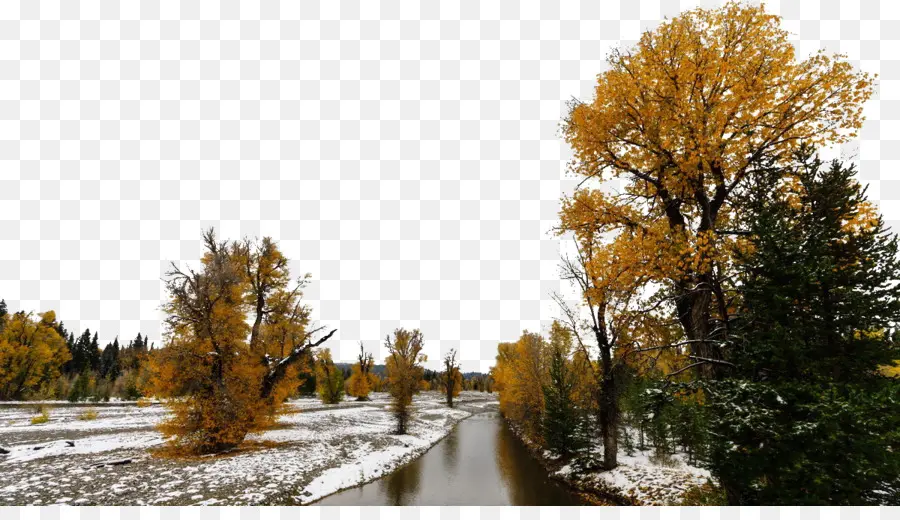 El Parque Nacional De Yellowstone，Happy Valley Beijing PNG