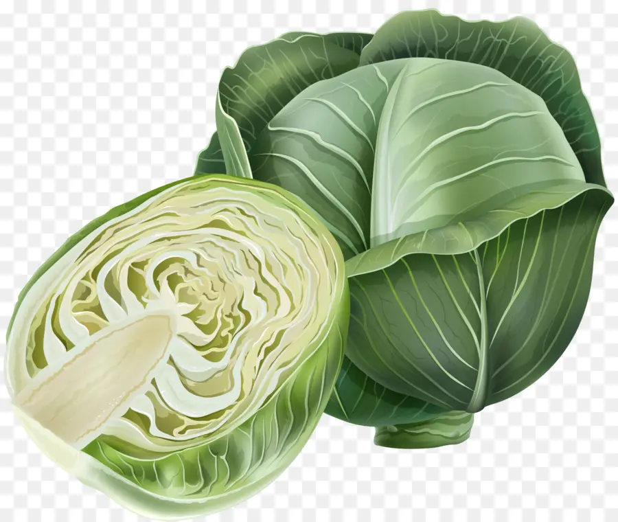 Col，El Brócoli Romanesco PNG