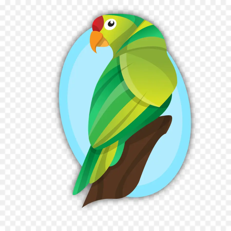 Loro Verde，Loro PNG