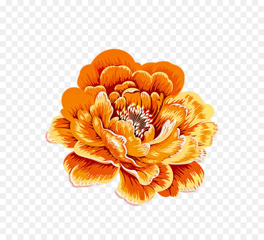 Flor De Naranja，Flor PNG