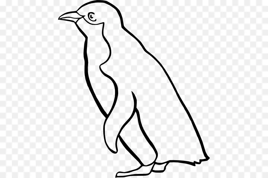 Pingüino，Pájaro PNG