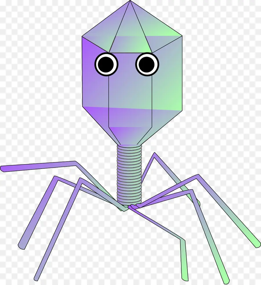 Virus，Bacteriófago PNG