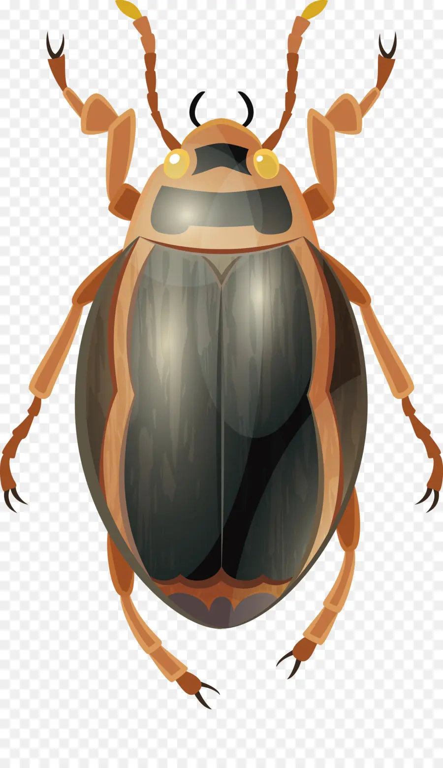 Los Insectos，Escarabajo De Estiércol PNG