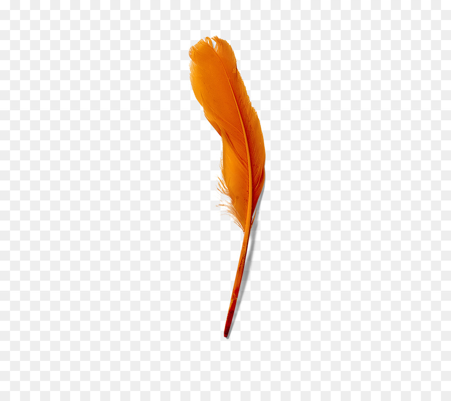 Pluma，Naranja PNG