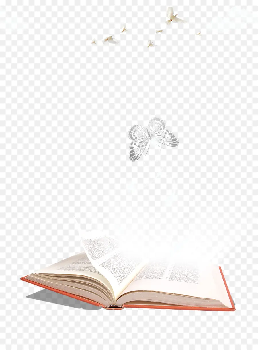 Libro Abierto，Lectura PNG