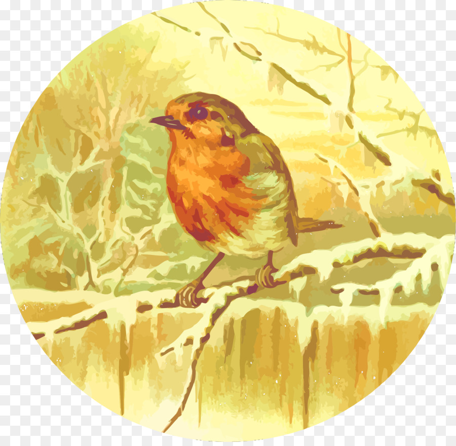 Pájaro，Illustrator PNG