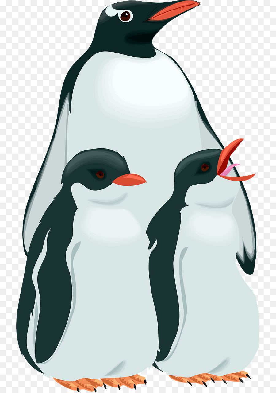 Penguin，Royaltyfree PNG