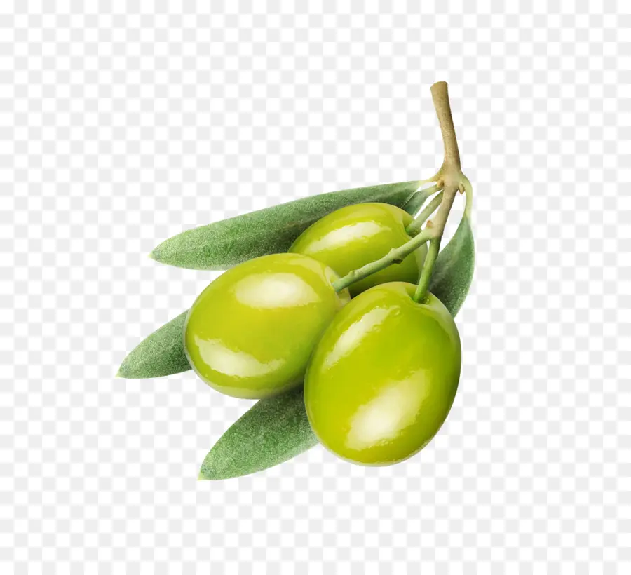 Aceituna，Aceite De Oliva PNG