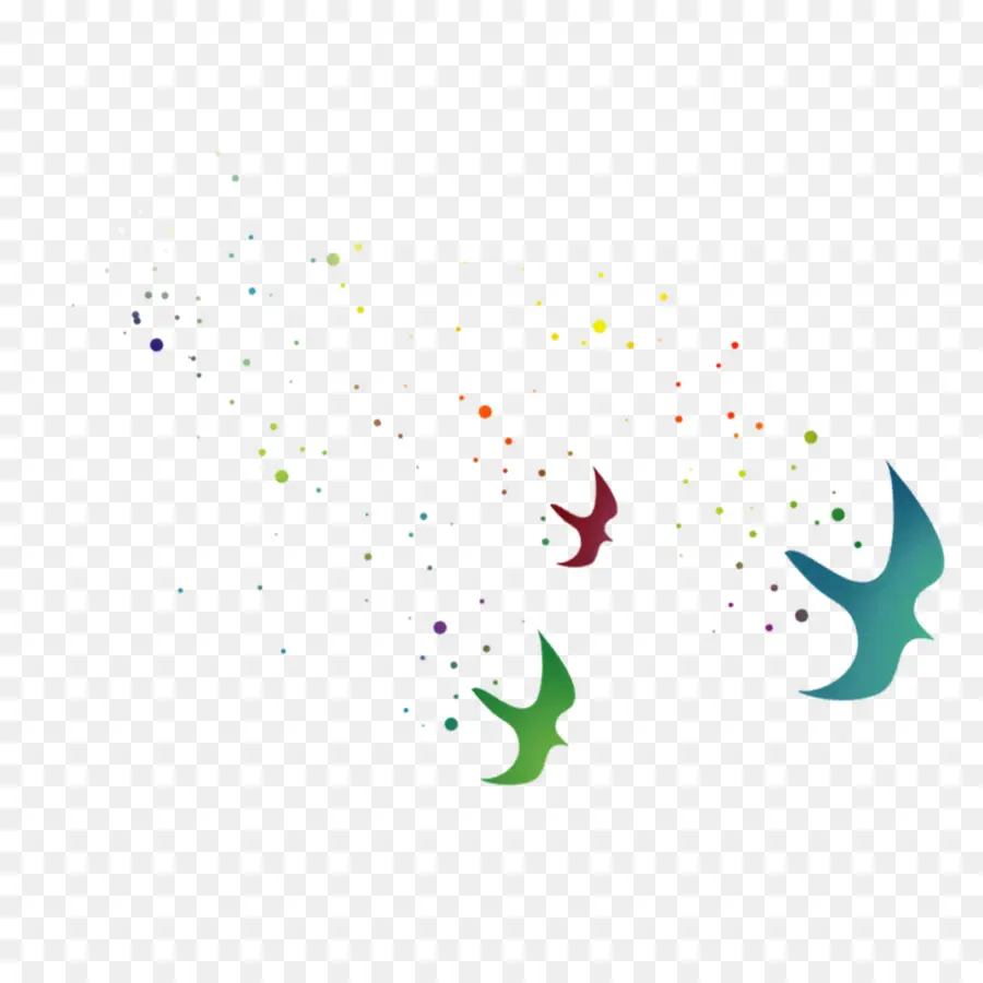 Aves，Vuelo PNG