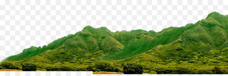 Pico De La Montaña，Gratis PNG