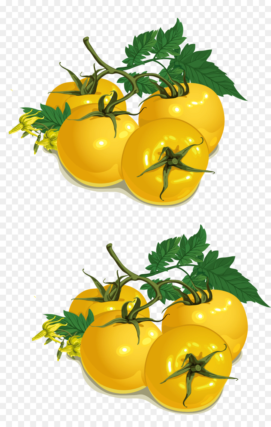 Tomates Amarillos，Tomate PNG