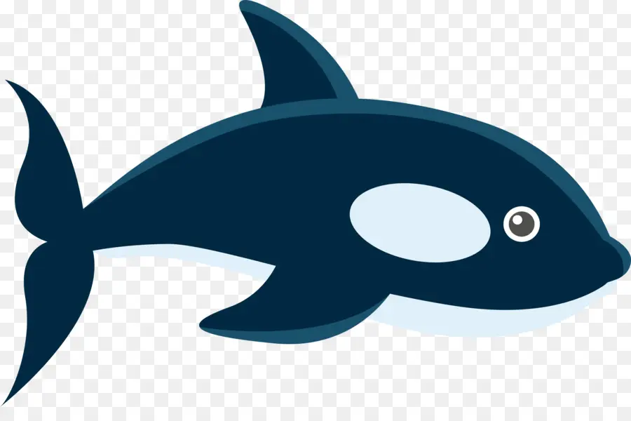 Ballena，Animal PNG