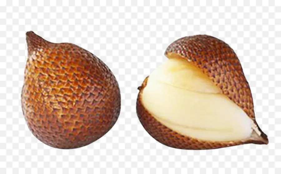 Fruta Salak，Fruta De Serpiente PNG