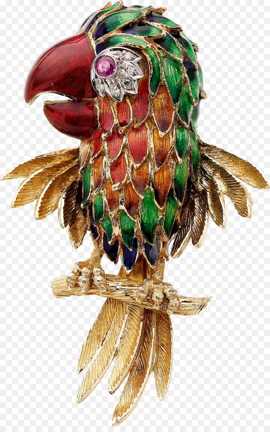 Parrot，Broche PNG