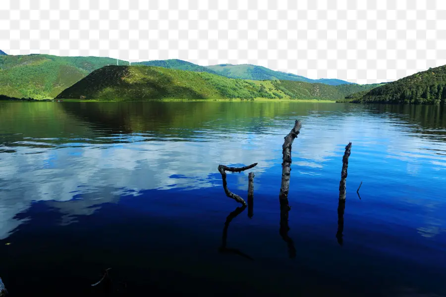 Potatso Parque Nacional，El Parque Forestal PNG